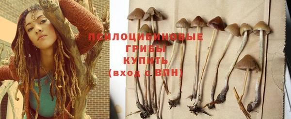 ECSTASY Нефтекумск