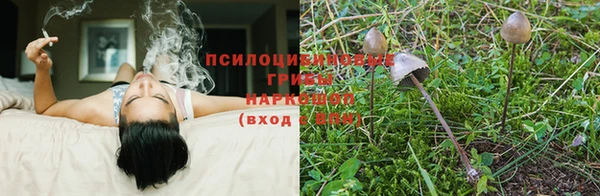 ECSTASY Нефтекумск