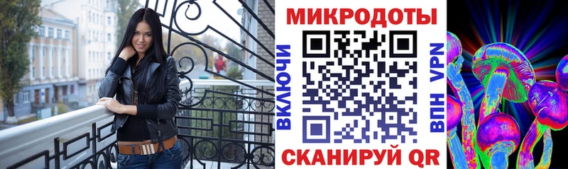 Галлюциногенные грибы Psilocybe  Княгинино 